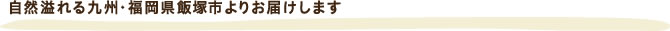 福岡の工場よりお届けします。